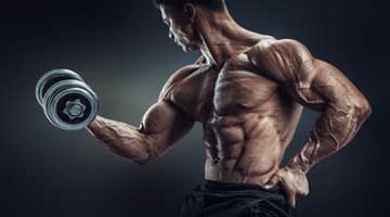 ¿Es posible ganar masa muscular fácilmente?